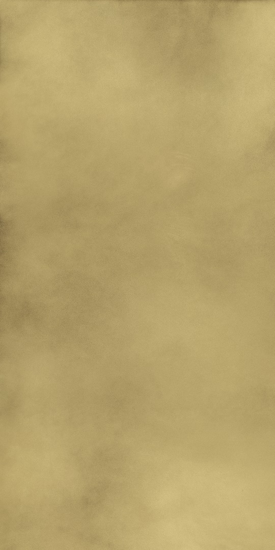 610015000645 На пол Continuum Brass Gold Lap 80x160 - фото 3