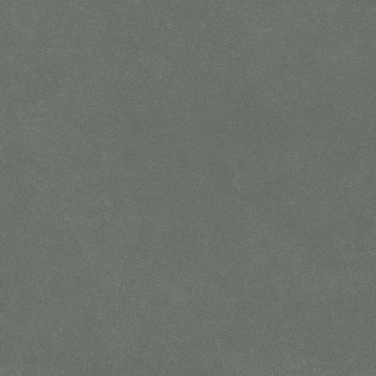 На пол Monotone Juniper Matt 20x20 - фото 4