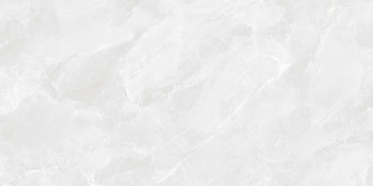 CR6012G0401R На пол Regnum Bianco светло-серый матовый 59.5х119.1 - фото 2