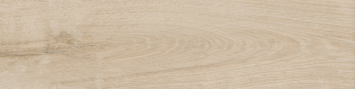 KM1040G0001N На пол Аргания Бежевый светлый матовый 9.9x40.2x0.8 - фото 14