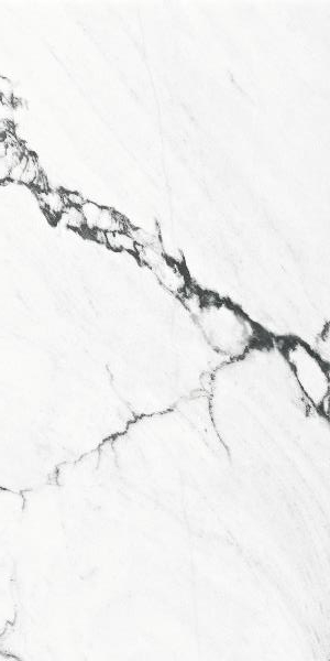 G000602 На пол Calacatta Black Polished Rect