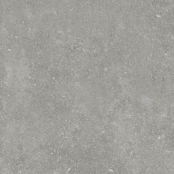 ID9062g054SR На пол Идальго Граните Глория Gray / Серый SR 60x60 - фото 10