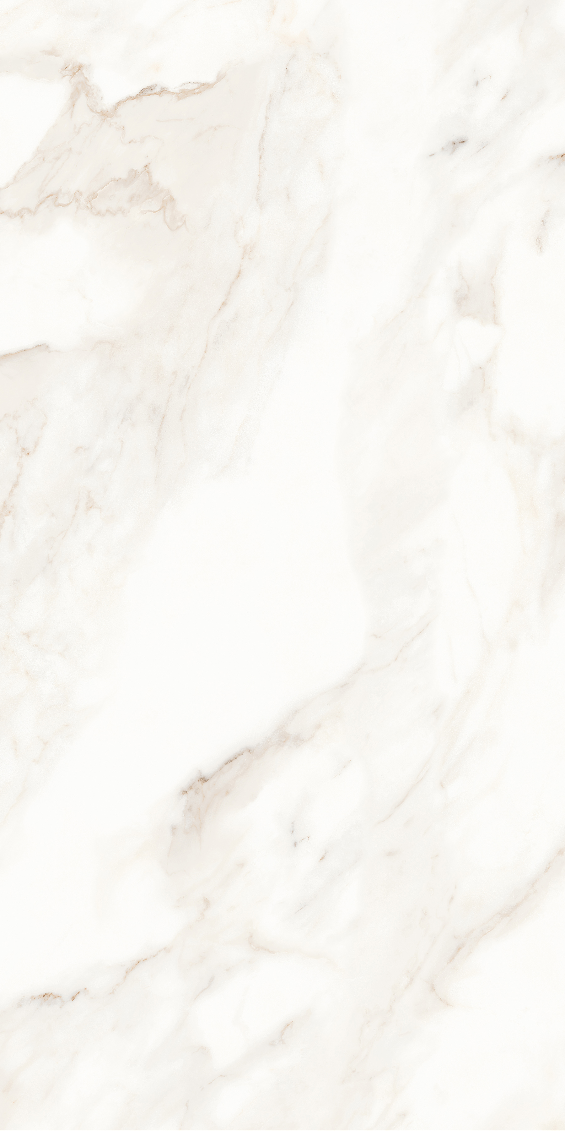 MPL-058622 На пол Calacatta Calacatta Satin 60x120 - фото 6