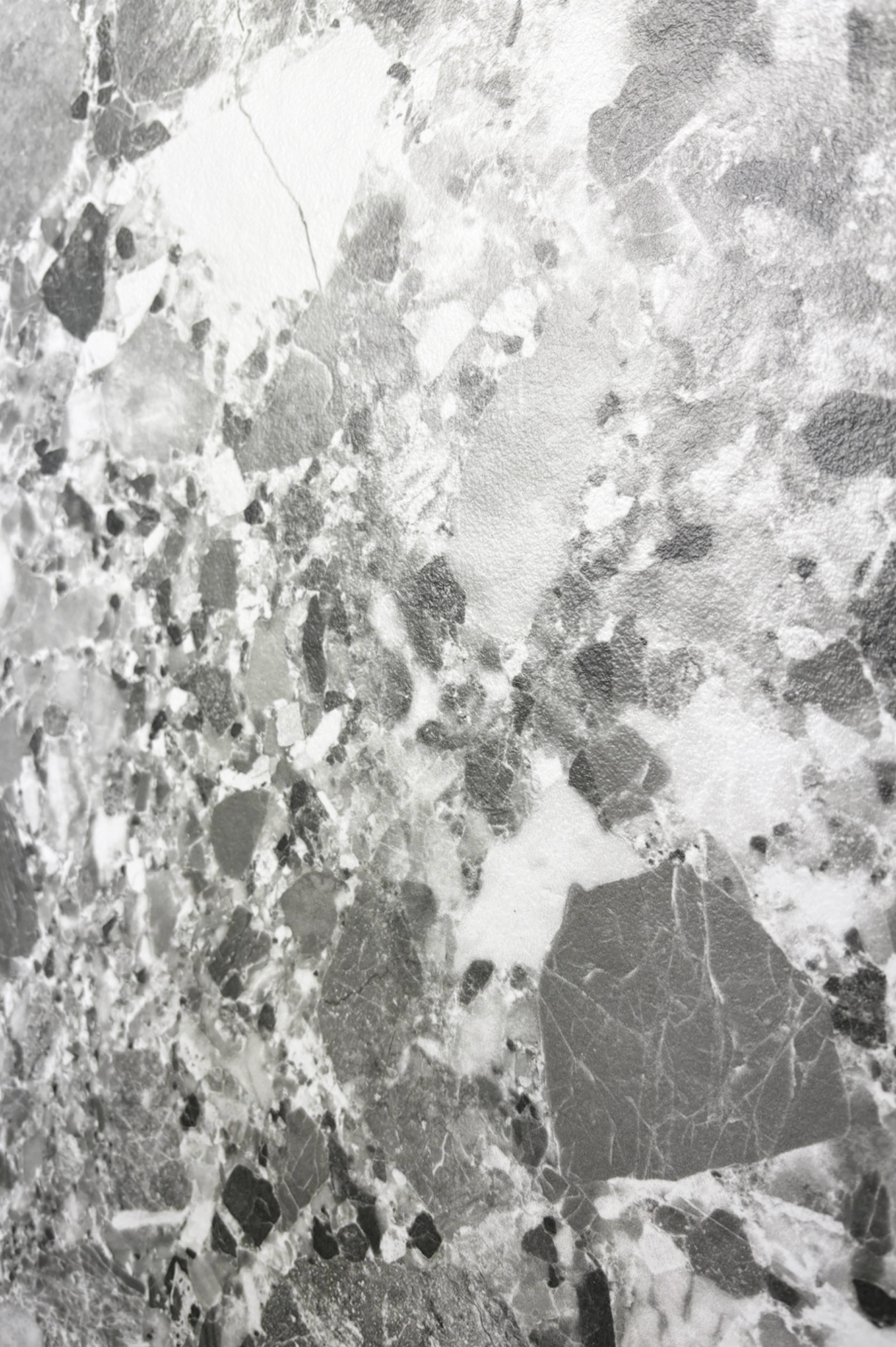 Creanza Terragona - фото 4