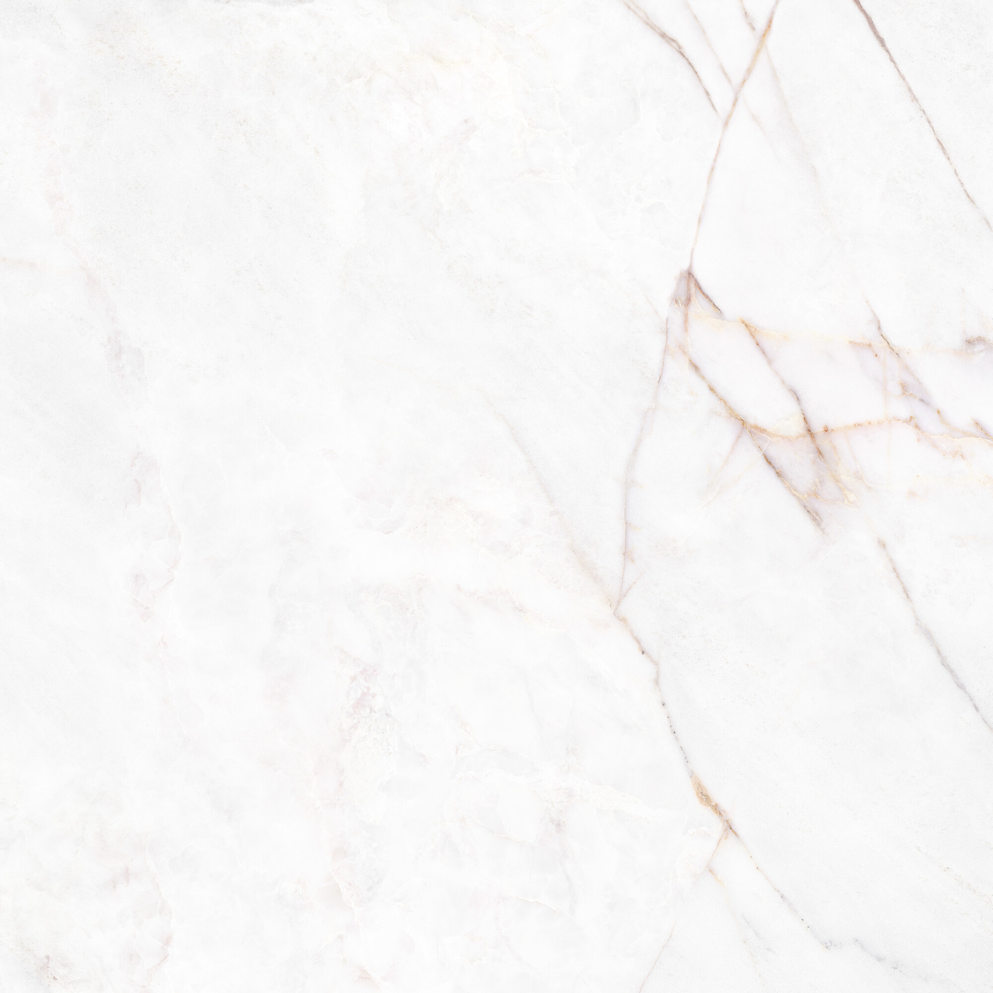 41431 На пол Museum Dahlia White SP/100X100X0.8/R 100x100 - фото 6