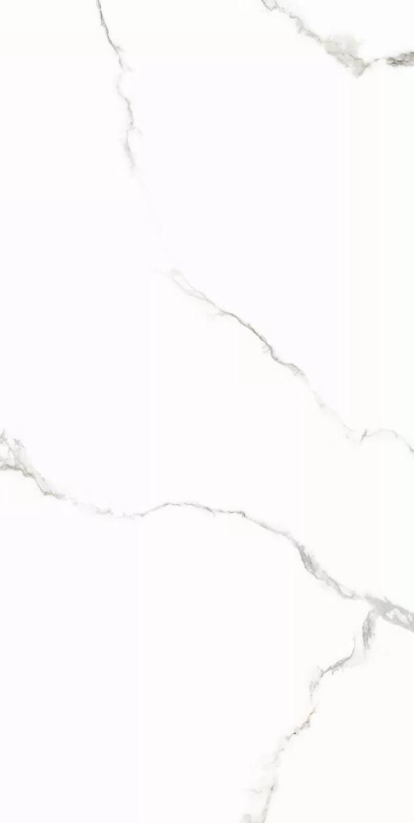 6493-0139 На пол Иней / Inei Белый 60х120 - фото 8