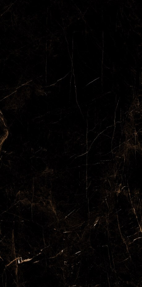 389 На пол Marble 5.5mm Tropic Black 60x120 - фото 4