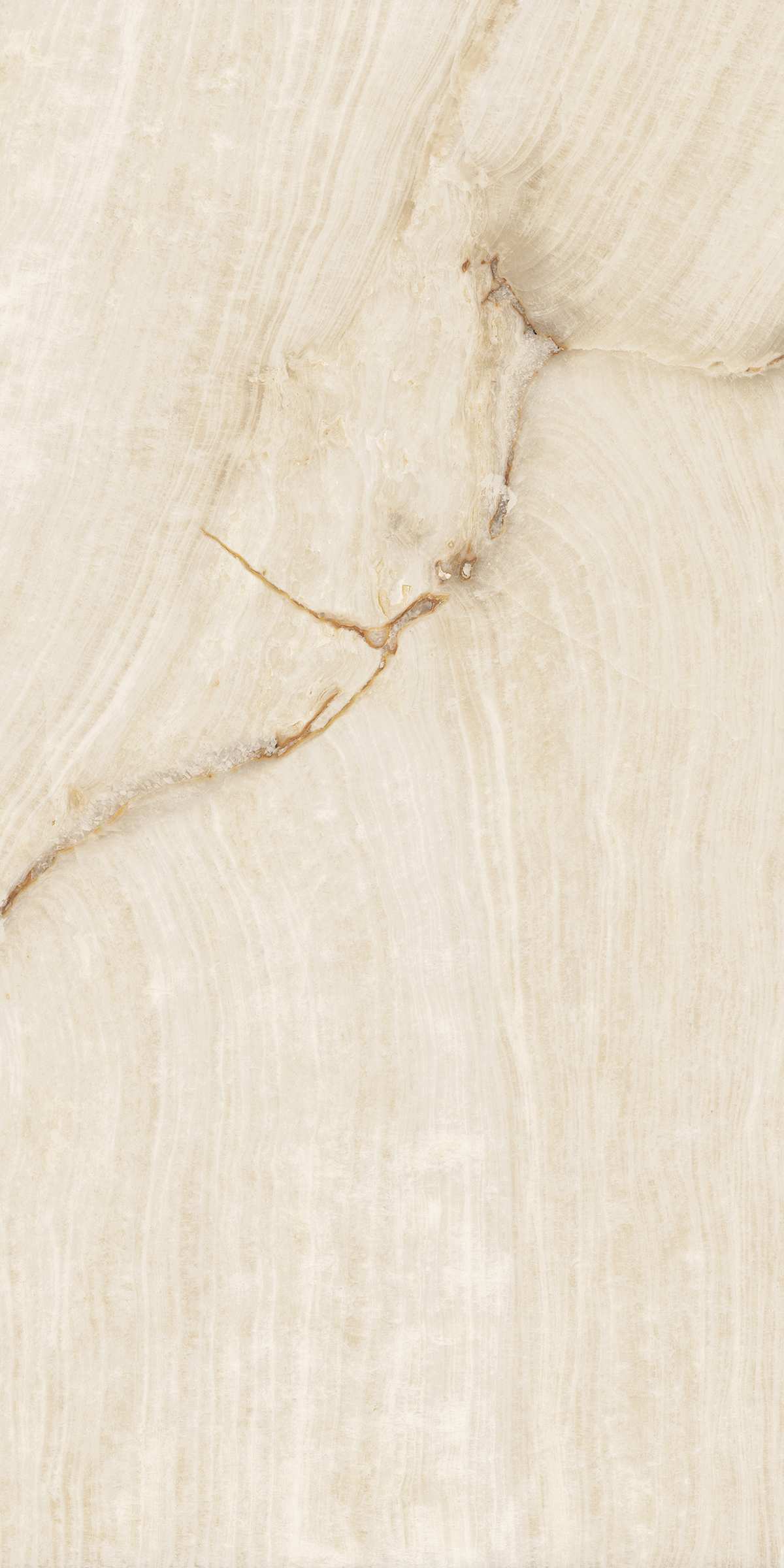 На пол Roman Shapetouch 60x120 - фото 5