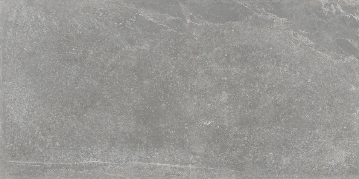 P0003697 На пол Bleuemix Grey 60x120 - фото 8