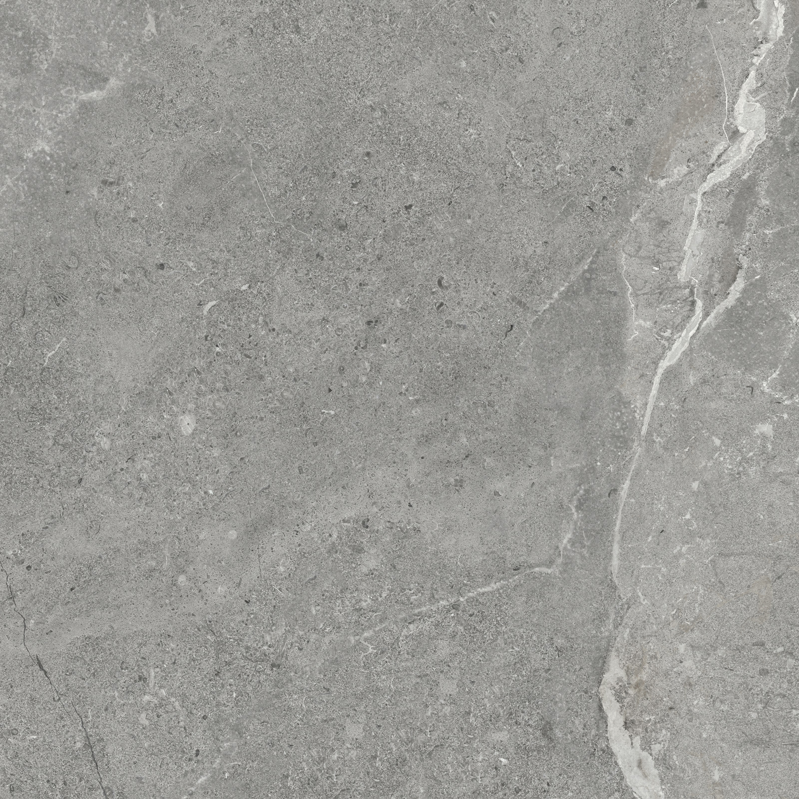 GP6060TIA05M На пол Titanium Gris матовый 600x600x9.5 - фото 2