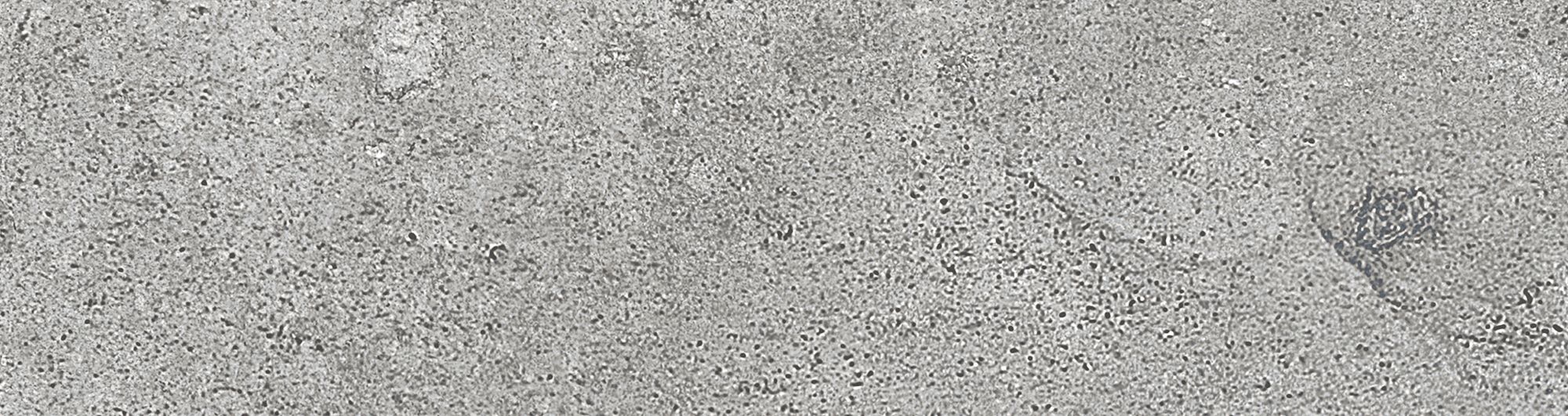 На стену Юта 2 6.5х24.5 - фото 4