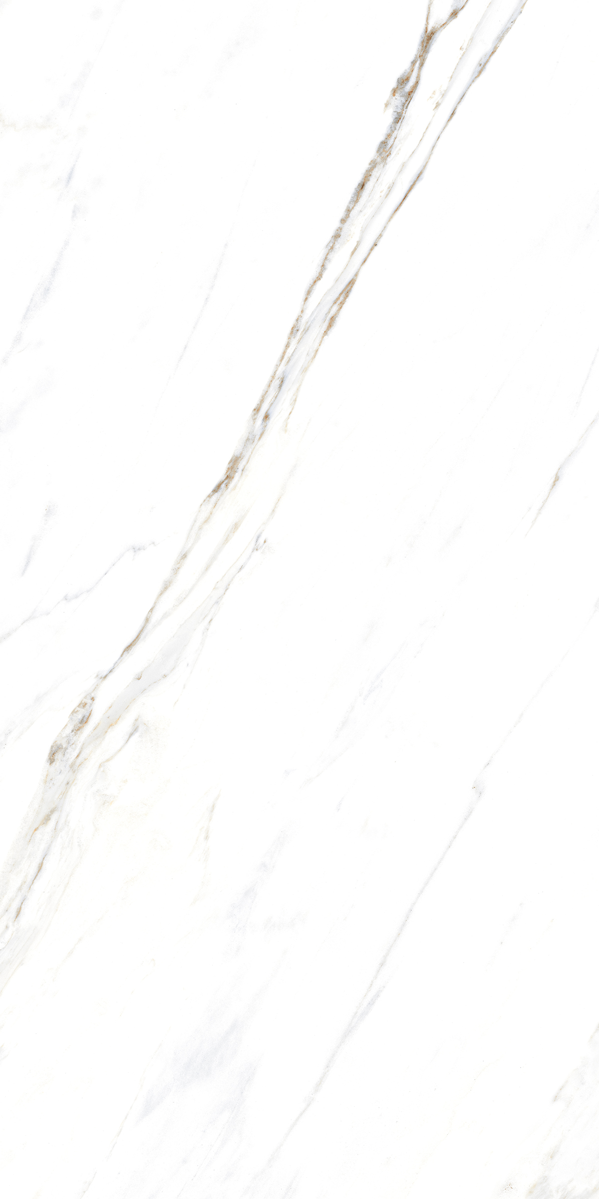 885  На пол Marble 5.5mm Calacatta Caldia 120x60