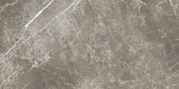 ECC2 На пол Elements Lux Persian Grey Silk RT 60x120 - фото 7