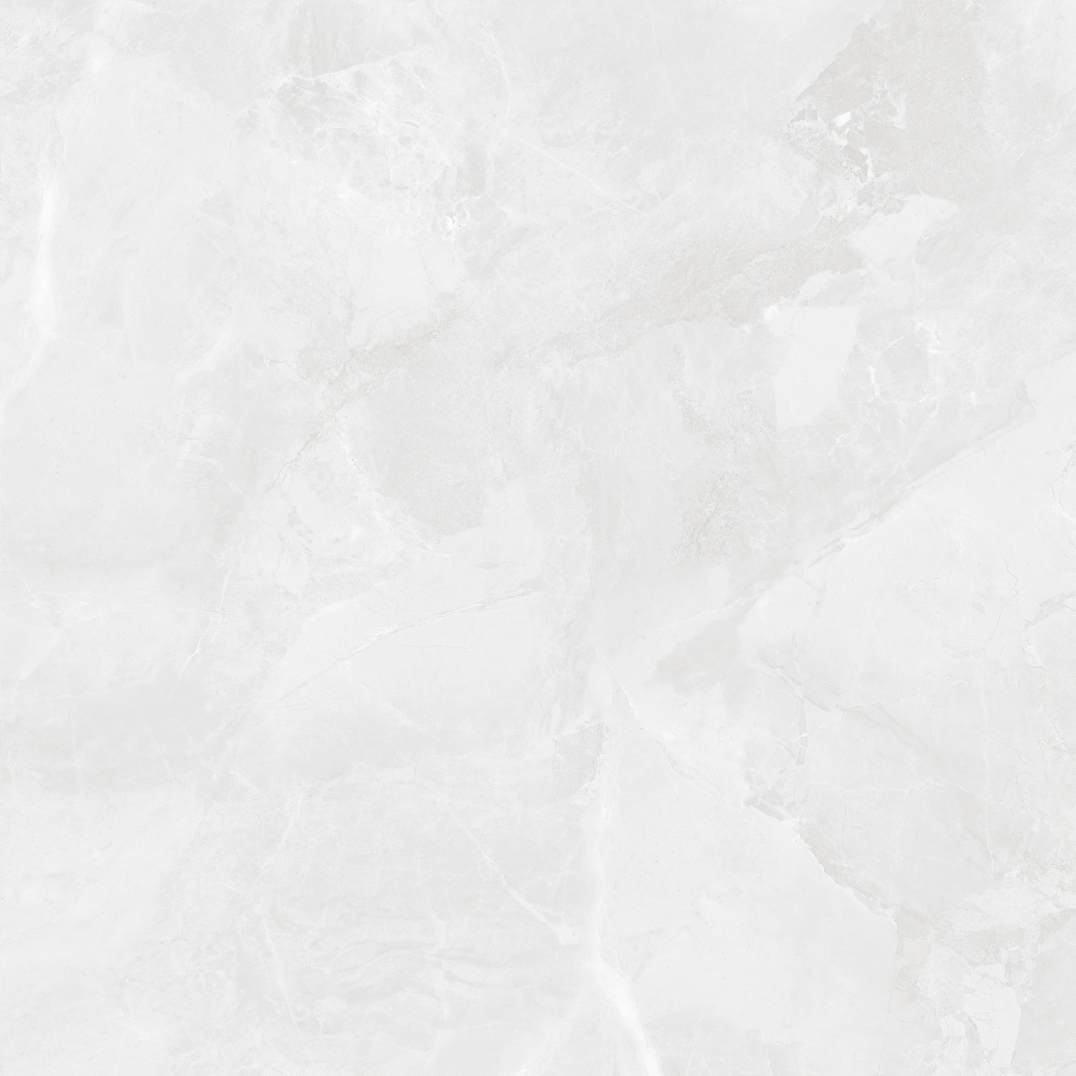 CR6060G0391R На пол Regnum Bianco светло-серый матовый 59.5х59.5 - фото 10