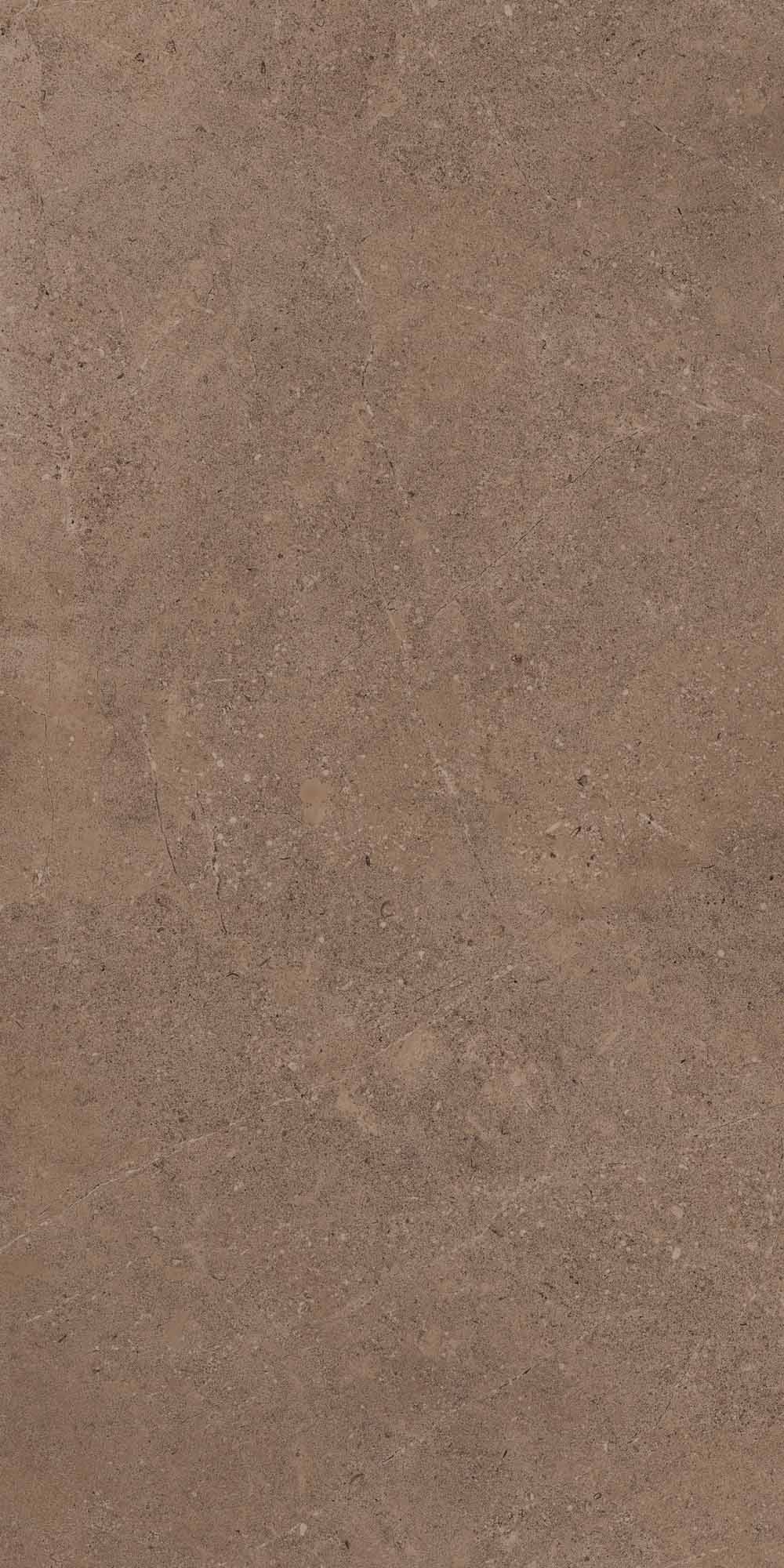 GO02/NS_R9/60x120x10R/GW На пол Gobi GO02 Dark Beige неполированный 60x120