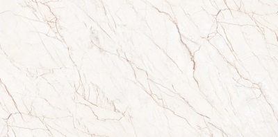 53374 На пол Astra 120x60