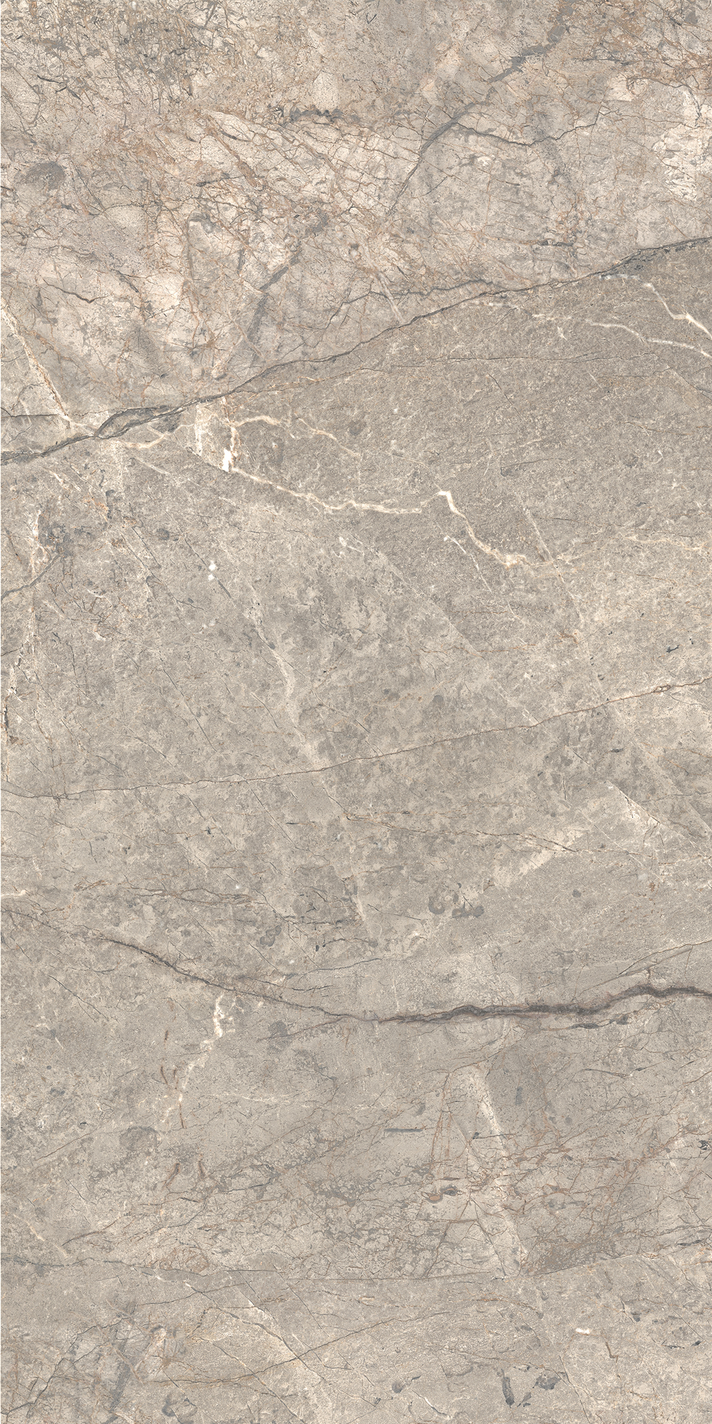 AGB6 На пол Anima Futura Silver Luc 60x120 - фото 8