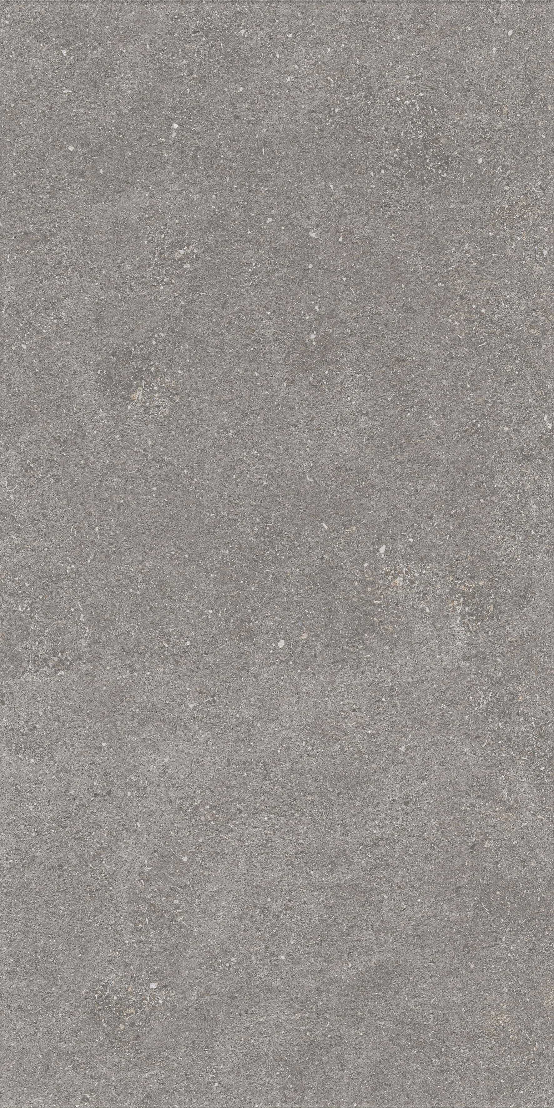 1224 На пол Stone Graniti Grey Matt Ghr 120x60 - фото 8