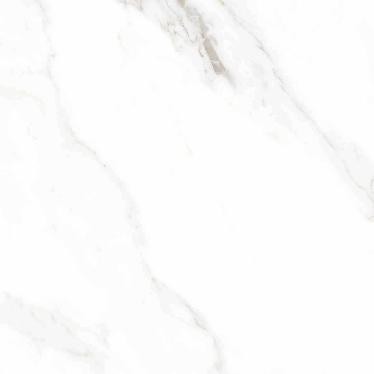 K952677LPR01LPER На пол Calacatta Michael Белый лаппатированный 60х60 - фото 13