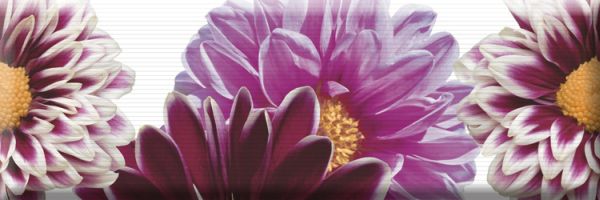 Декор Aure Decor Flowers 02 15x45