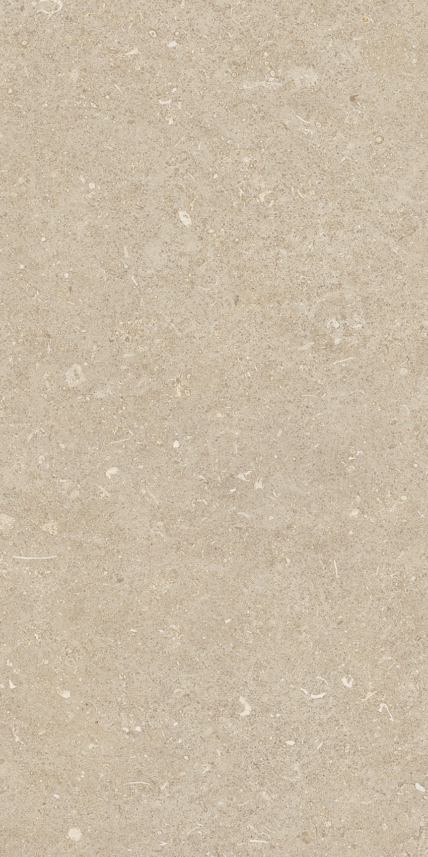 785501 На пол Rinascenza Arena Conchiglia Grip 30x60