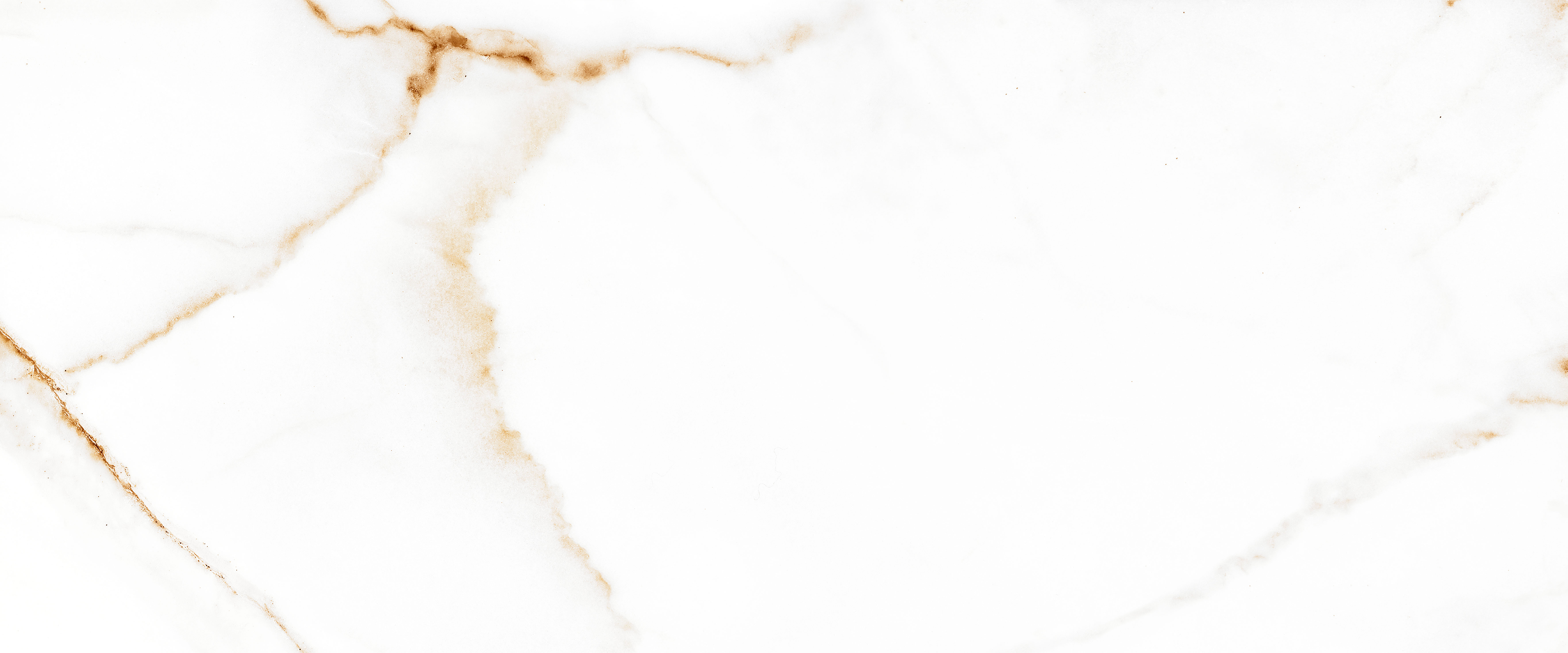 010100001521 На стену Joy White белый 01 25x60 - фото 3