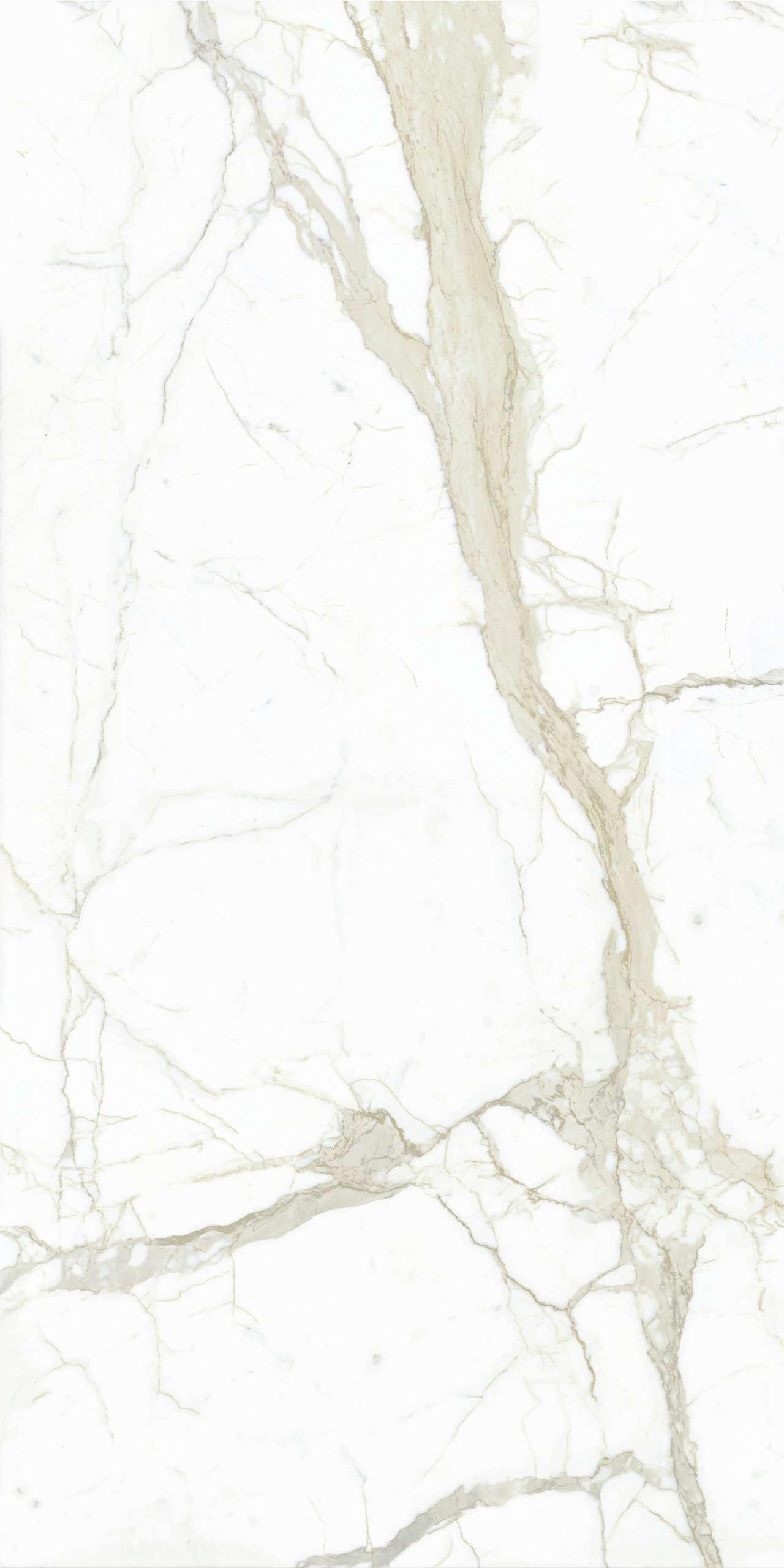 P628389 На пол Select Calacatta White Naturale 8mm 60x120 - фото 4