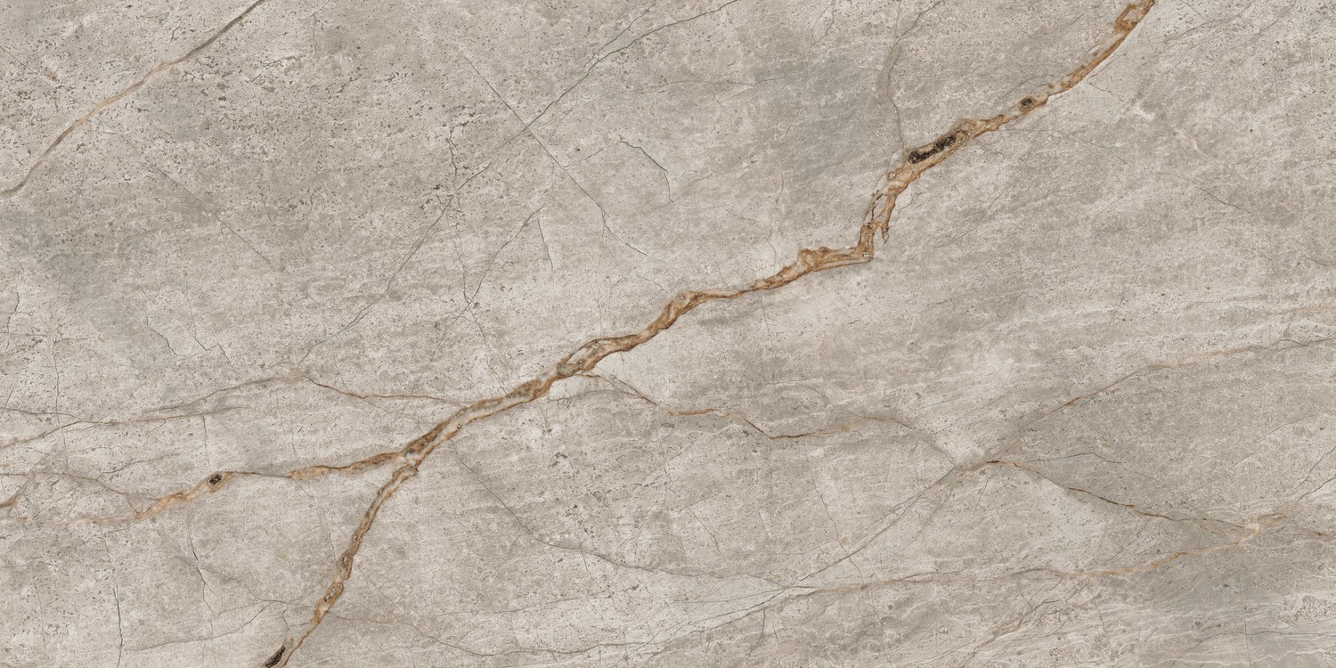 610015000618 На пол Empire Silver Root Rett 60x120 Lapp - фото 3