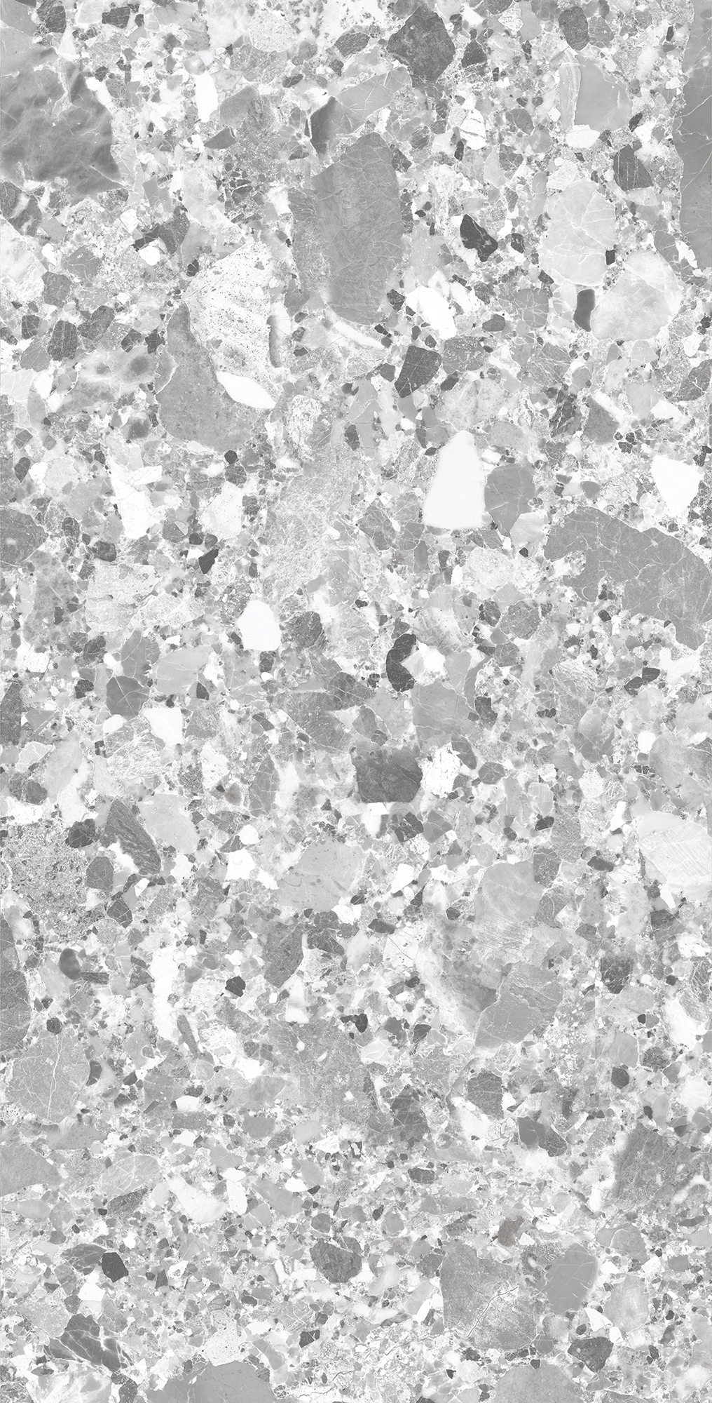 SL1004-A На пол Terragona Silver Solido 60x120 - фото 3