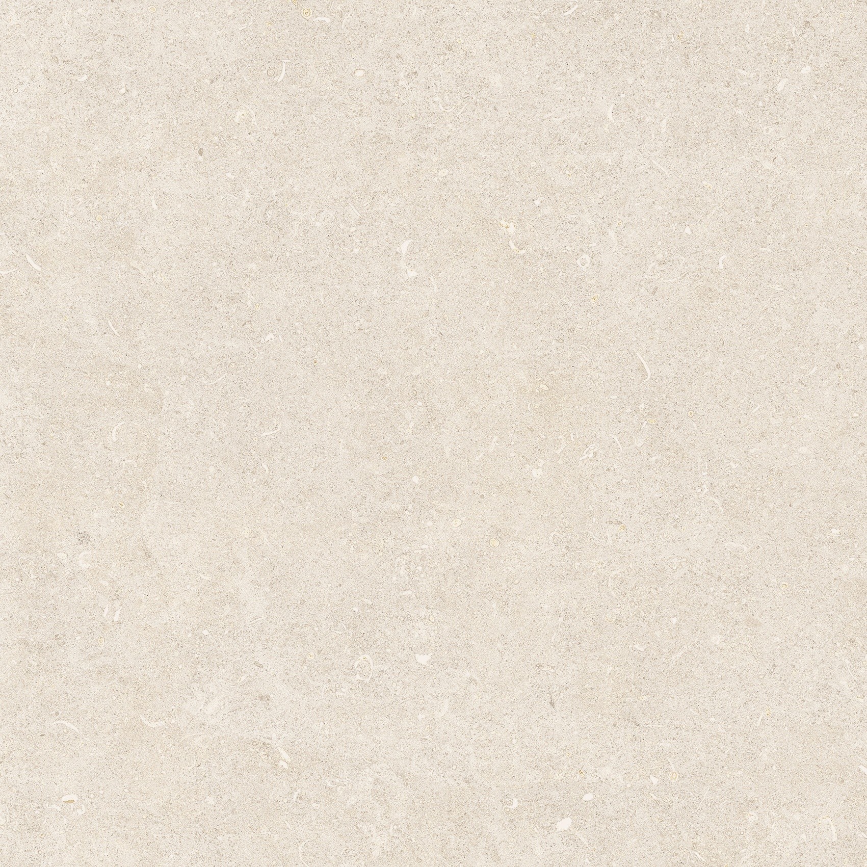 785484 На пол Rinascenza Arena Bianco Antico Matte 60x60 - фото 4