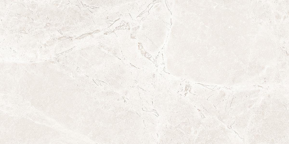 На пол Iconic Dew Matt 60x120 - фото 7