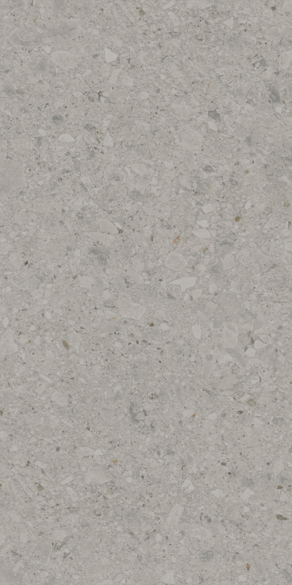 DD591400R На пол Чеппо ди Гре Серый матовый обрезной 119.5x238.5x1.1