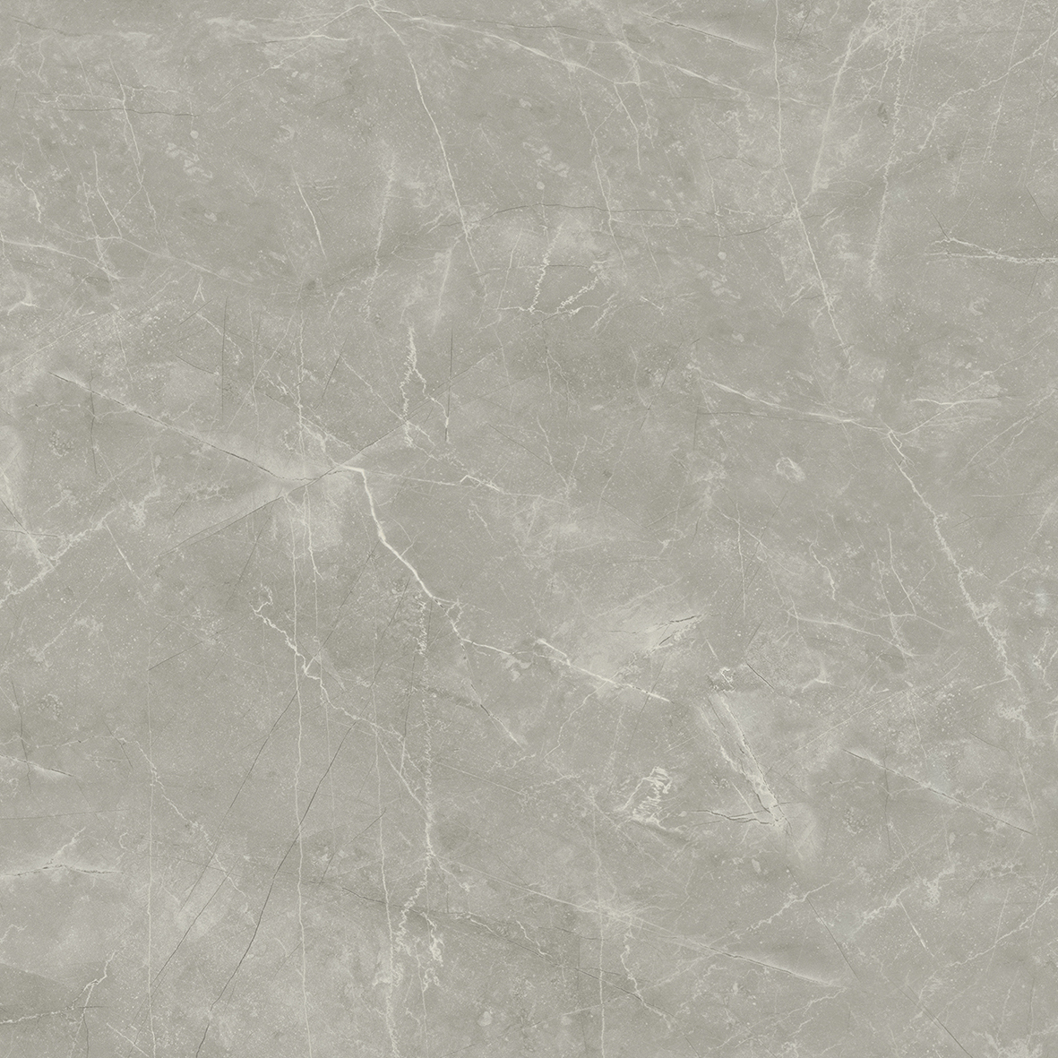 На пол Wolf Grey 80х80 Сатинированный - фото 4