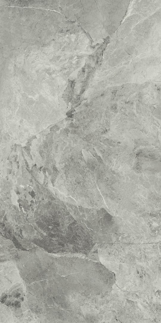 610010001689 На пол Charme Extra Floor Project Силвер 80x160 Натуральный И Реттифицированный - фото 3