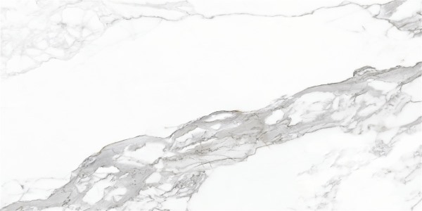 P10850.6 На пол Eternal White Polished Rec Por Tile Глазурованный - фото 2