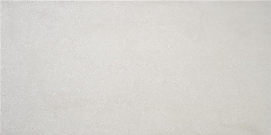 CAN5PHASDDAA На пол Phase Grey MT Rect 59.5x120