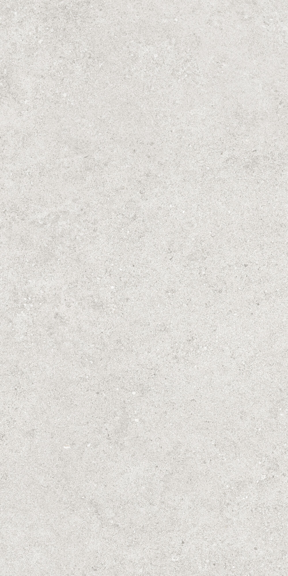 36904 На пол Cluny Silver 4D/50X100X2/A/R 50x100 - фото 22