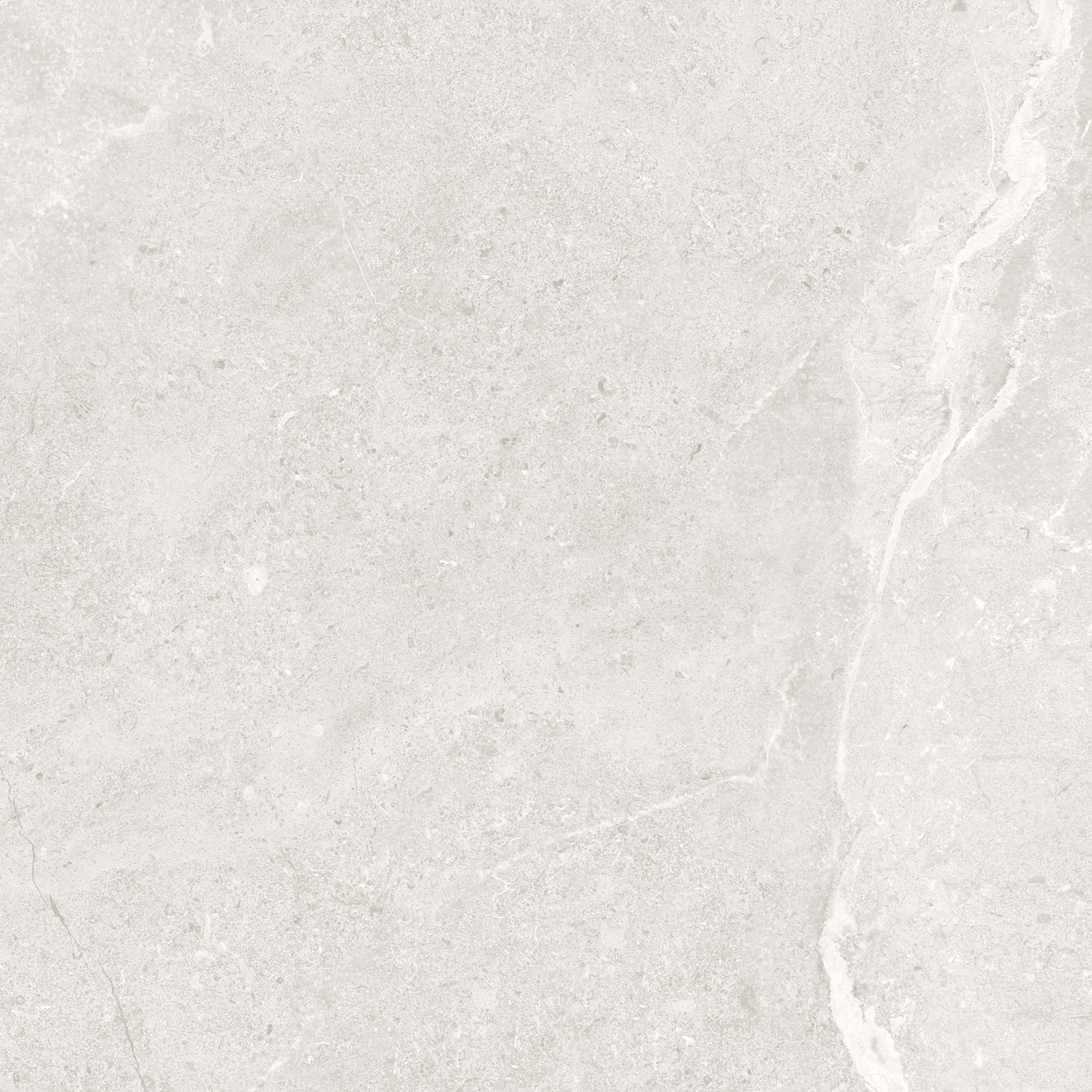 GP6060TIA00M На пол Titanium White матовый 600x600x9.5 - фото 3