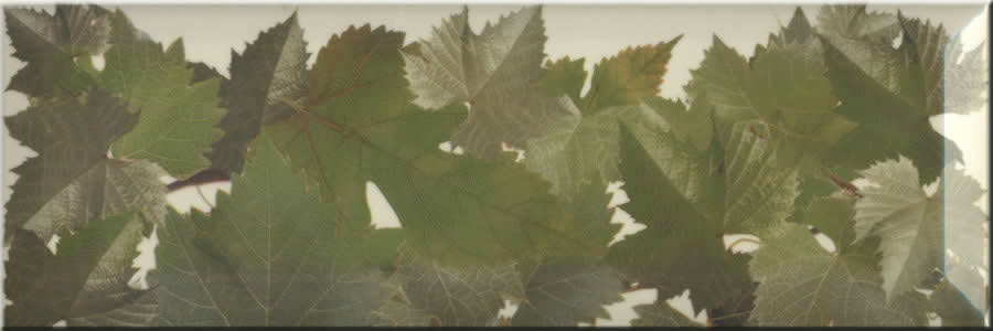 Декор Tempranillo Cen.Hojas Crema