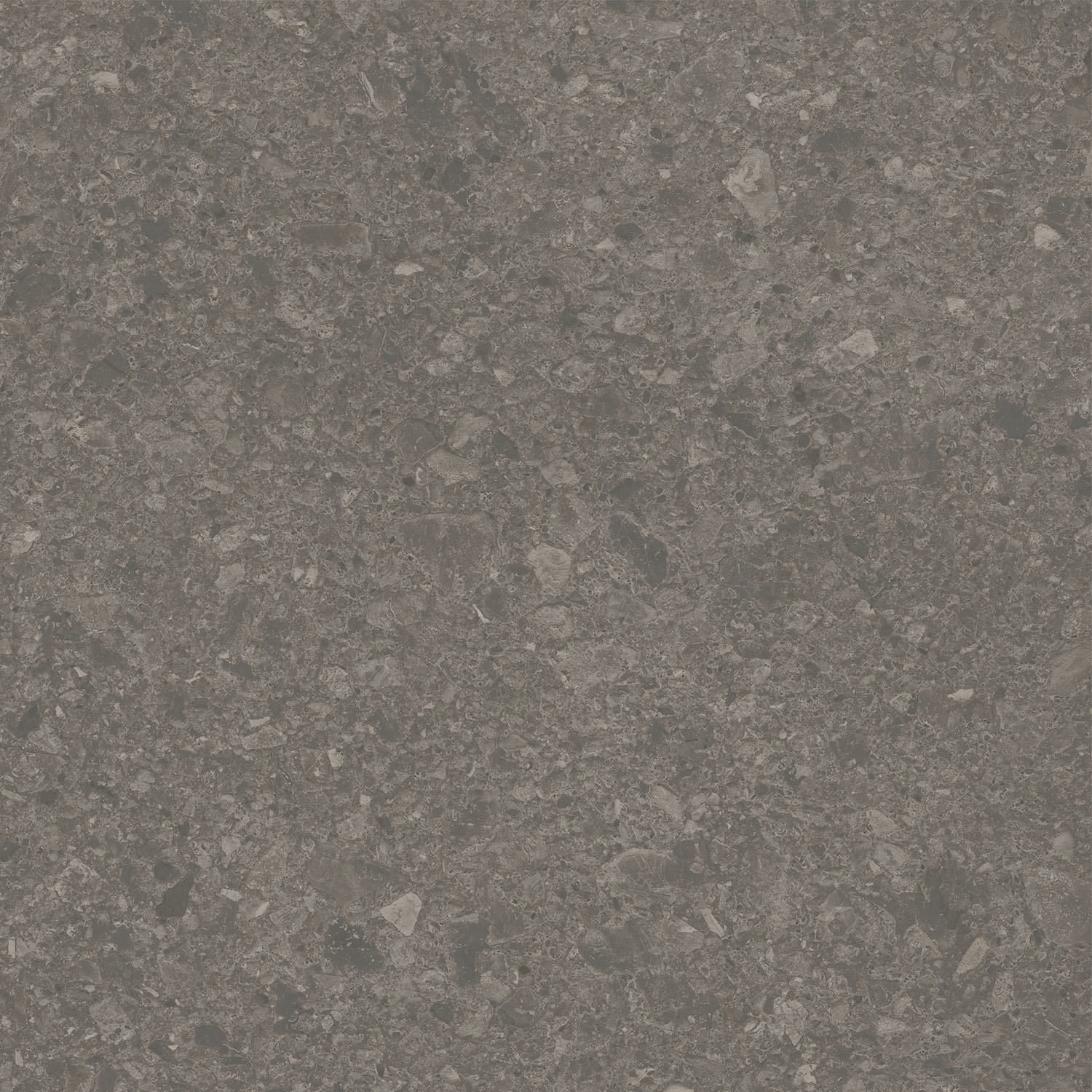 DD012920R На пол Чеппо ди Гре Коричневый матовый обрезной 119.5x119.5x0.9