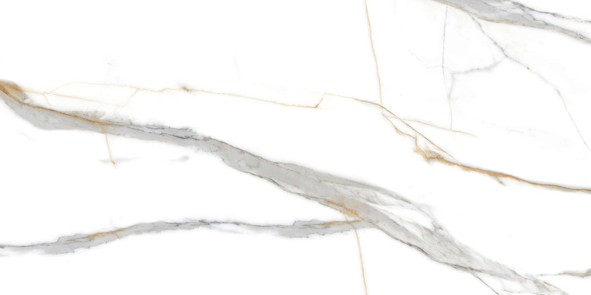 PRO 1059G На пол Roma Grigio Gloss 1200x600 - фото 7