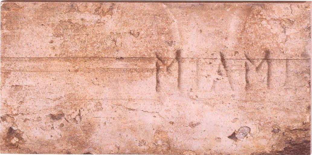 На стену Chicago City Mix Wrigley - фото 8