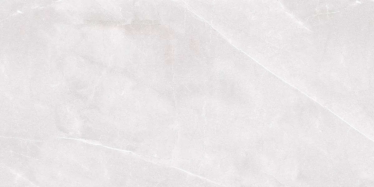 На пол Armani Bianco Glossy 60x120 - фото 2