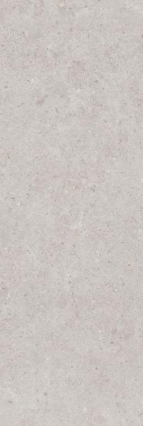 14053R Настенная Риккарди Серый Светлый Матовый Обрезной 40x120 - фото 5