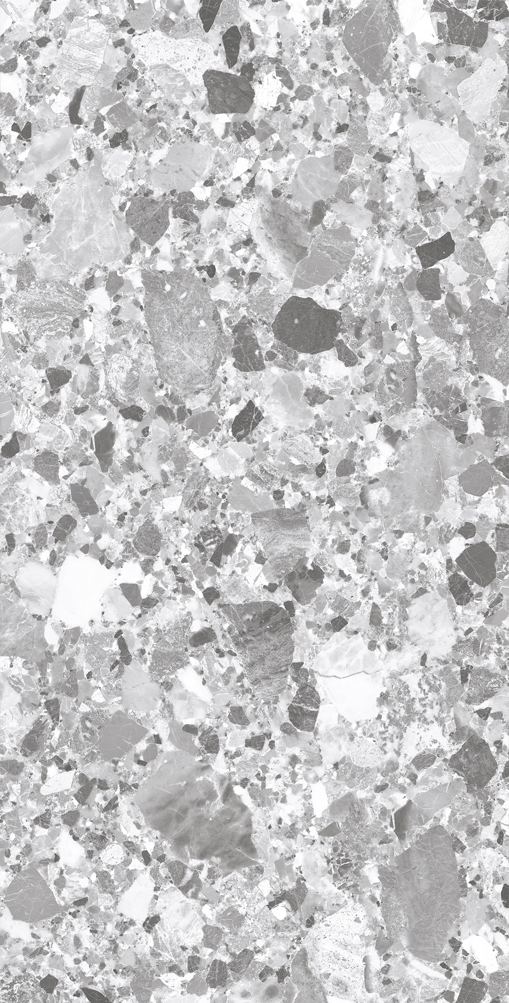 SL1004-A На пол Terragona Silver Solido 60x120 - фото 4