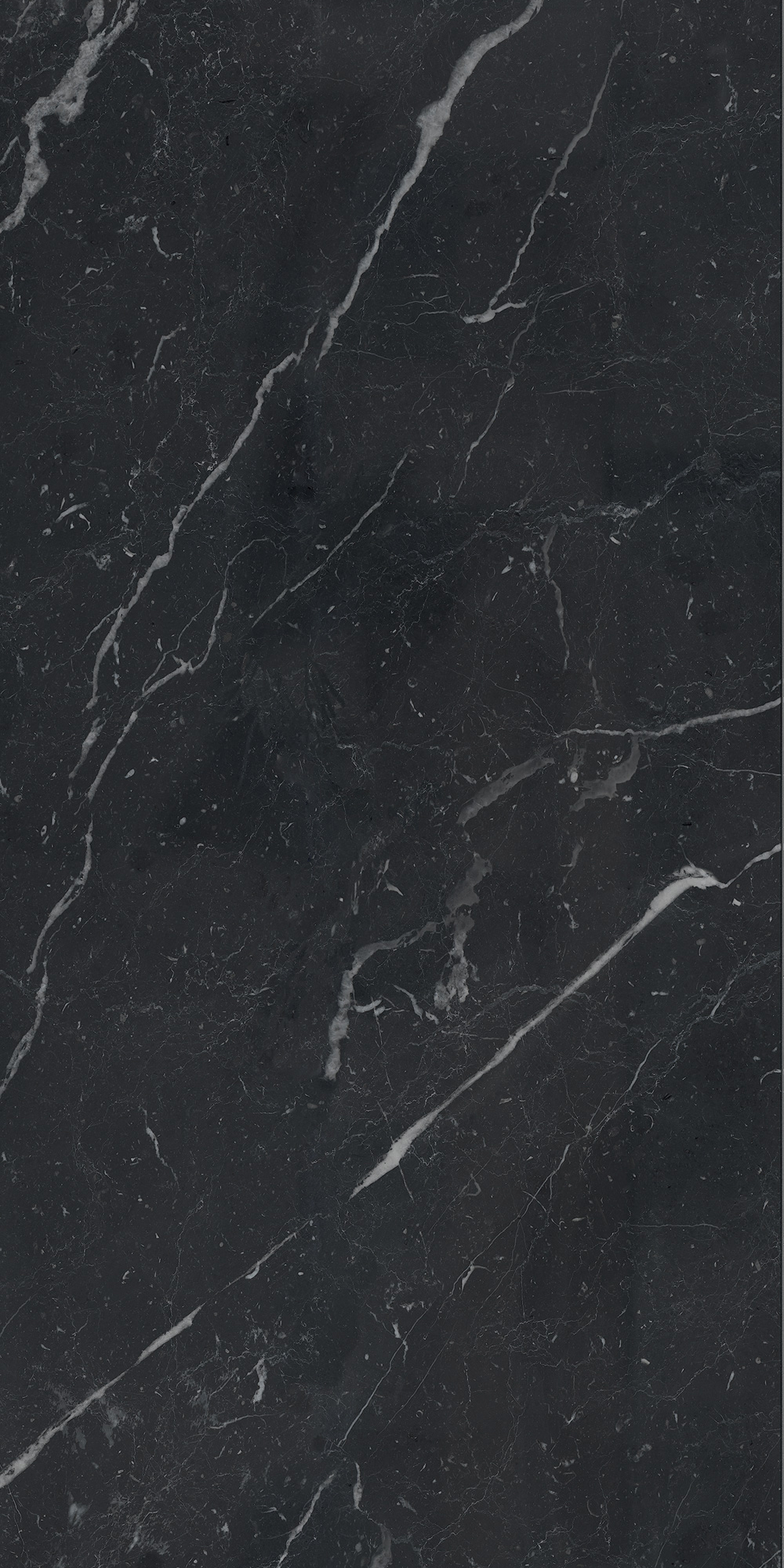 AGB7 На пол Anima Futura Unique Black Luc 60x120 - фото 2