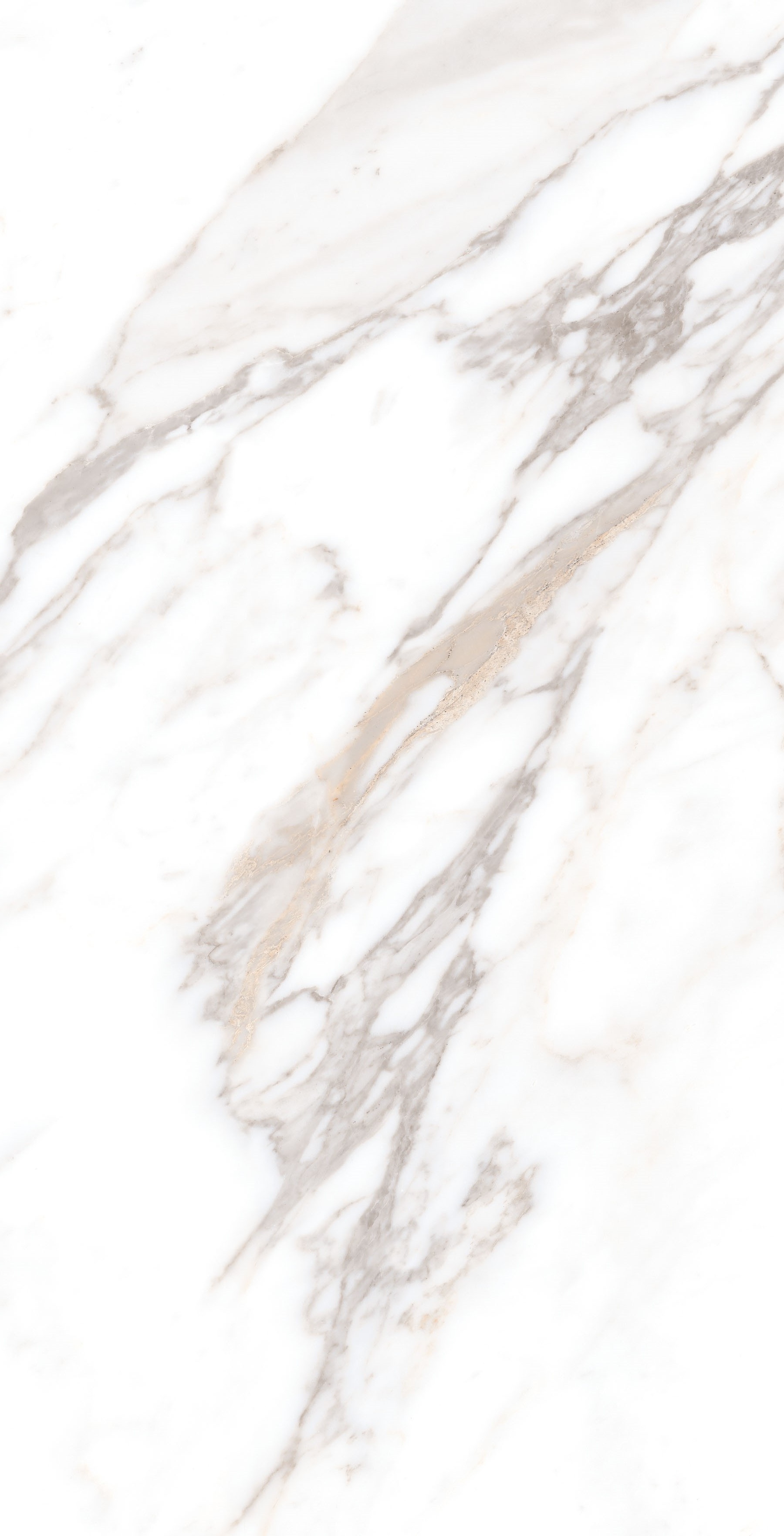 На пол Calacatta Borghini Sugar 60х120 - фото 4