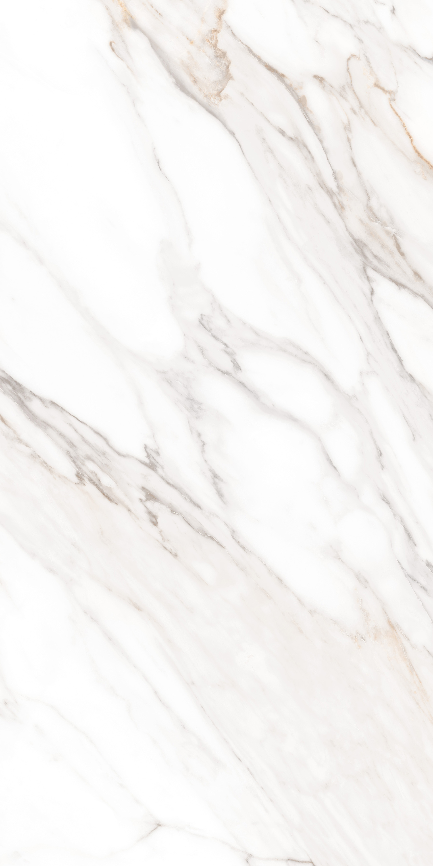 MPL-058631 На пол Simero Calacatta Gold Polished 60x120 - фото 7