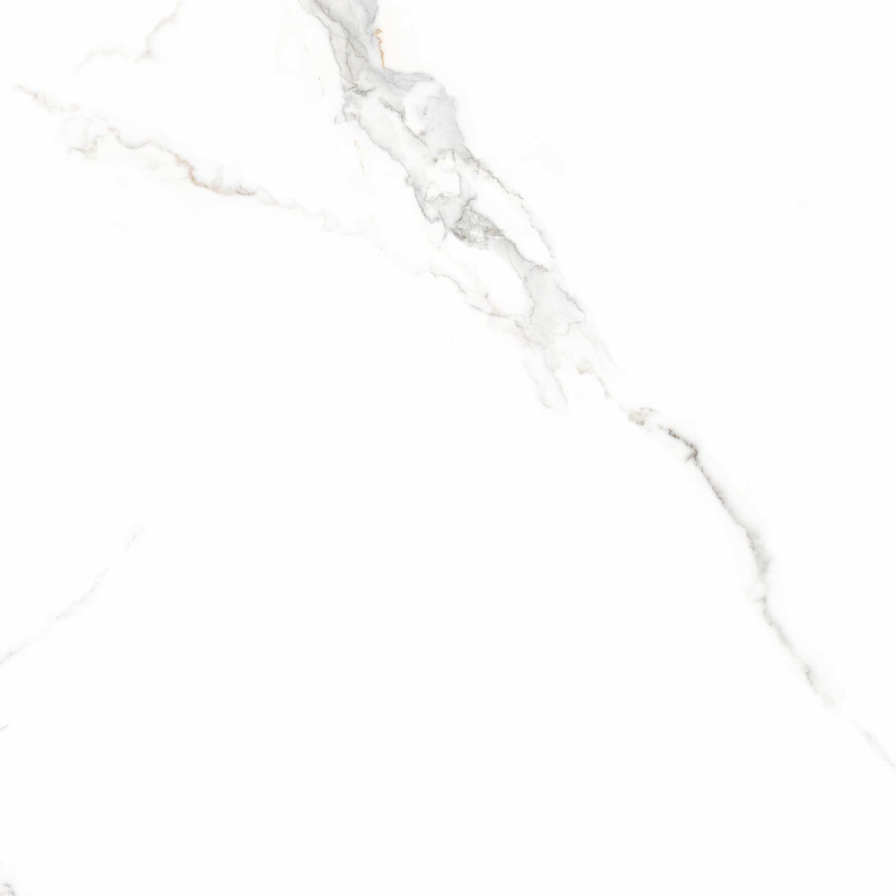 6461-0411 На пол Иней / Inei Белый 60х60 - фото 10