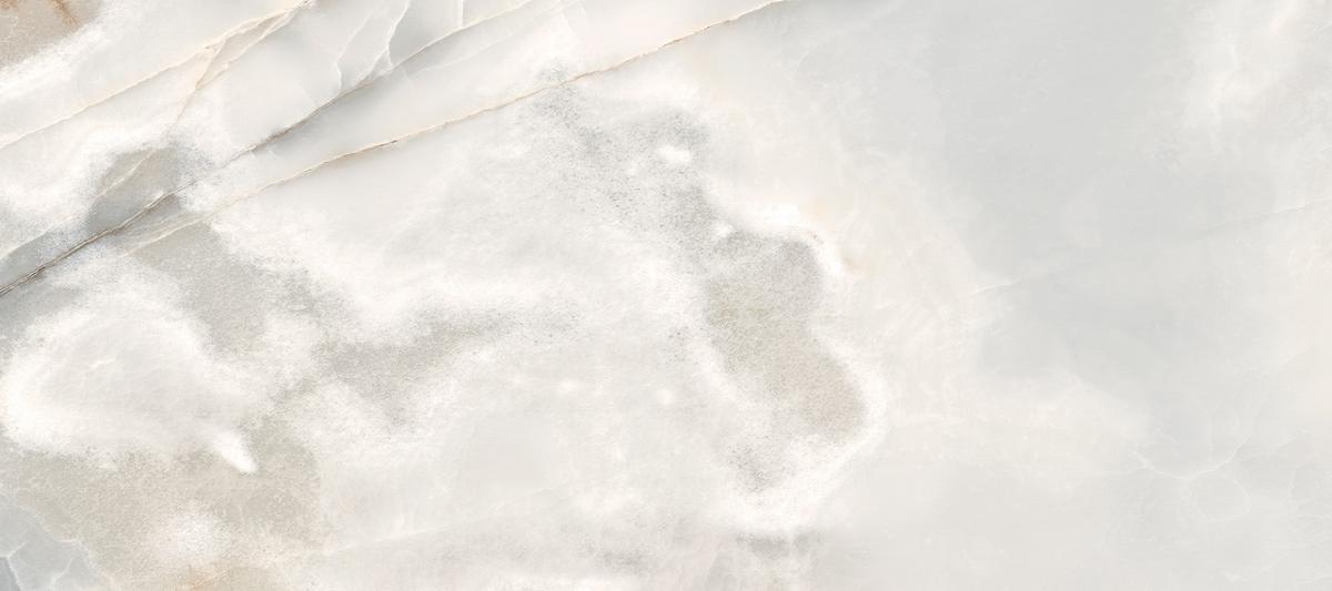 770423 На пол Reves De Rex Noisette Glossy Ret 80x180